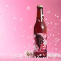 【飲む桜餅！ホワイトデーやお花見にぴったり】桜の花と葉を使用した春限定ビール「サンクトガーレン さくら」発売