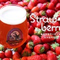 【乳酸菌 × 苺！常識を覆す味わいのビール】「ホエイサワーエール ストロベリー」限定発売