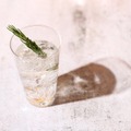 【正解したら全額還元！】原材料を一部非公開にしたクラフトジン「なぞGIN」が販売