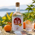 【愛媛・温州みかんのクラフトジン！】県ジンプロジェクト第20弾「愛媛県ジン」発売
