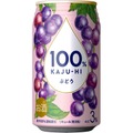【カベルネソーヴィニヨン使用！】プレミアムな限定品「100％カジューハイ　ぶどう」新発売