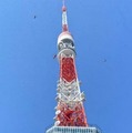 【東京タワー産の蜂蜜「タワーハニー」を贅沢に使用！】ハニービール「TOKYO TOWER GOLDEN HONEY ALE」好評につき増産決定