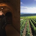 【HYDE（L'Arc-en-Ciel）プロデュース！至高のワインブランド】「VAMPROSE - HYDE WINES -」全国発売