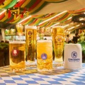 【本格的なドイツビールが飲める！】秋の風物詩「横浜オクトーバーフェスト2026」開催