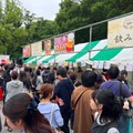 【120種以上の梅酒が横須賀に集結！】「全国梅酒まつり in 横須賀2026」秋バラと共に3日間開催