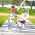 【みずみずしくピュアな薔薇の香り！】「森のジン 薔薇詩（バラード）2026」一般発売