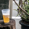 【全国13ブルワリーが豊橋に集結！】クラフトビールの泡に酔いしれる「アワアワアワー」開催