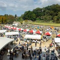 【能登の酒蔵復興応援！】「石川の地酒と美食の祭典 サケマルシェ」開催