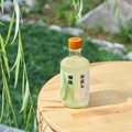 【江戸時代の「カクテル」が1本に！】「柳蔭またの名を本直し」発売