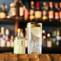【江戸時代の「カクテル」が1本に！】「柳蔭またの名を本直し」発売