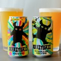 【初の限定製品！】「限定改造 有頂天エイリアンズ New World Hop」セブンで発売