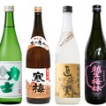 【埼玉県内10蔵が集結！】「酒蔵フェス Made in Saitama 2026 ～produced by ところざわサクラタウン～」開催