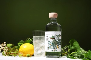 【84種のボタニカルが織りなす“森”の一杯】調和を極めたクラフトジン「万律 -Banritsu-」、抽選販売スタート 画像