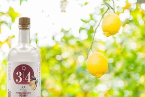 【広島県ジン！】全国47都道府県の特産品の魅力を発信するクラフトジン「県ジンプロジェクト」第12弾が発売 画像