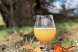 【香りを探求する