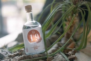 【甲州ぶどうのクラフトジン！】ワイン県ならではの1本「山梨県ジン by agataJapan」販売 画像