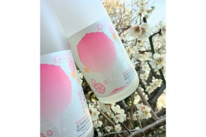 【世界酒蔵ランキング第５位！】外池酒造店の季節限定酒「燦爛 純米吟醸生原酒 花さんらん」が数量限定発売 画像