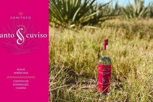【地理的表示で保護！】伝統的アガベスピリッツ「COMITECO（コミテコ）」が新たに入荷 画像