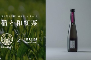 【紅茶を使ったのにマスカットのような香り！？】クラフトサケ「稲と和紅茶」が新登場 画像