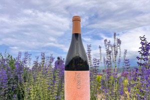 【樹齢約40年のバッカス品種を使用！】NIKI Hills Wineryの最新ヴィンテージワイン「NEIRO 2025」リリース 画像