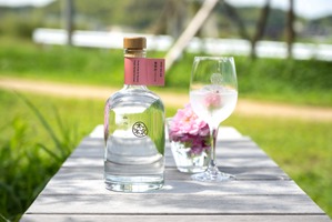 【みずみずしくピュアな薔薇の香り！】「森のジン 薔薇詩（バラード）2026」一般発売 画像