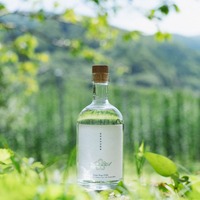 日韓のみで数量限定！】「グレングラント アルボラリス カスク