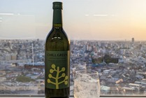 【読者プレゼント】新感覚ボタニカル系麦焼酎「CHILL GREEN spicy&citrus」＜応募締切5/30＞