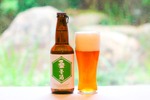 京丹後市の旬の「桑の葉」を使用したクラフトビール「桑麦酒」が販売！ 画像