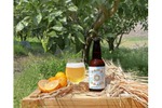 【未来を考えたサステナブルなビール！】「TOWN CRAFT -まちの未来を考えるビール- / YUKOH SAISON」販売 画像