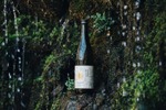 【林業会社が醸す日本酒ってなに！？】山の恵みの日本酒『山瑞 SANZUI』登場！自然農法で育てた酒米使用 画像