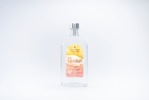 【新たな東京のシンボルタワーのクラフトジン！コーヒー粉×柚香の1本】「Bloomy」販売 画像