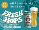 【国産麦芽100%×生ホップ！この時期しか味わえない】「常陸野ネストビール フレッシュホップス 2025」数量限定で発売 画像