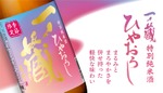 【厳しい残暑が続く今にぴったり！】軽やかな味わいの秋酒「一ノ蔵 特別純米酒ひやおろし」発売 画像