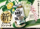 【沖縄のボタニカル素材を使用した新商品！】「オリオン 沖縄香るクラフトジンソーダ」発売 画像