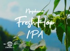 【生ホップを使用したフレッシュホップIPA！】限定醸造ビール「Nagahama Fresh Hop IPA」販売 画像