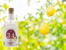 【広島県ジン！】全国47都道府県の特産品の魅力を発信するクラフトジン「県ジンプロジェクト」第12弾が発売 画像