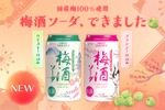 【大人の梅酒ソーダ！国産梅100%使用】「梅酒ソーダ ブランデー仕込み」「梅酒ソーダ ウイスキー仕込み」発売 画像