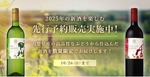 【今なら数量限定醸造品が特別割引！】「甲州プリムール2025年」「マスカット・ベーリーAプリムール2025年」予約販売 画像