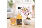 【母の日ギフトや春の贈り物に！】本物のミニ桜が咲く「おうちでお花見　～梅酒と盆栽セット～」発売 画像