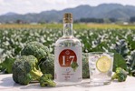 【石川県産ブロッコリーを使用したクラフトジン！】県ジンプロジェクト第19弾「石川県ジン」発売 画像