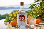 【愛媛・温州みかんのクラフトジン！】県ジンプロジェクト第20弾「愛媛県ジン」発売 画像