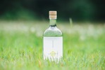【日本の夏を愉しむジン！】季節限定シリーズ第四作「naturadistill 甘夏薄荷蒸溜酒（Amanatsu Hakka GIN）」先行予約受付開始 画像