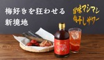 【梅干しと出汁の旨味が魅力のサワーベース！】「旨味マシマシ梅干しサワー」販売開始 画像