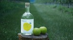 【長野の「初摘みりんご」の青く爽やかなクラフトジン！】「tekaro GIN First Harvest」先行販売 画像