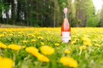【パイ着想のクラフトリキュール！】「Rhubarb Pie ルバーブ＆バニラ」「Blueberry Pie ブルーベリー＆バニラ」日本初上陸 画像