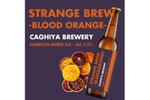【4つのオレンジを重ねた「少し奇妙」なアンバーエール！】「STRANGE BREW -BLOOD ORANGE-」販売 画像