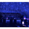 2500球の青色LEDで装飾！冬季限定イベント「吉祥寺 青の洞窟 2017」開催