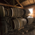 ウイスキー好きなら知っておきたい！ジャパニーズウイスキーで使われてる「ミズナラ樽」とは？