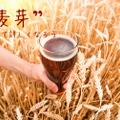 【ビール豆知識】ビールの味を左右する！？麦芽について詳しくなろう！