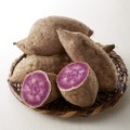 貴重な紫芋を使った希少な焼酎！本格芋焼酎『春雲紫』ってどんなお酒？